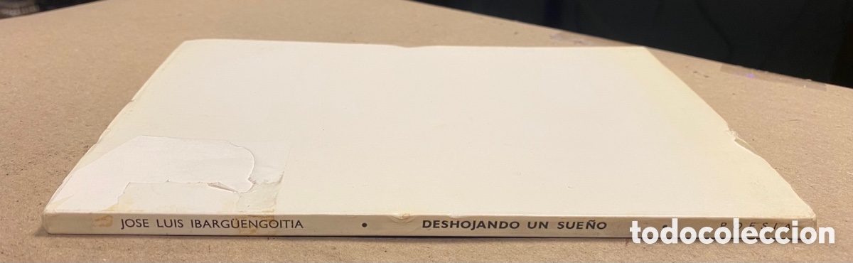 Libros de segunda mano: DESHOJANDO UN SUE&Ntilde;O. JOS&Eacute; LUIS IBARG&Uuml;ENGOITIA. - Foto 8