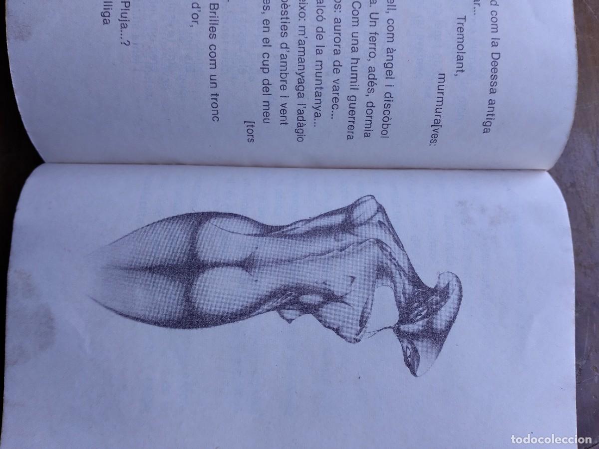 Libros de segunda mano: Colecci&oacute; Jordi Royo &times;4 - Foto 3