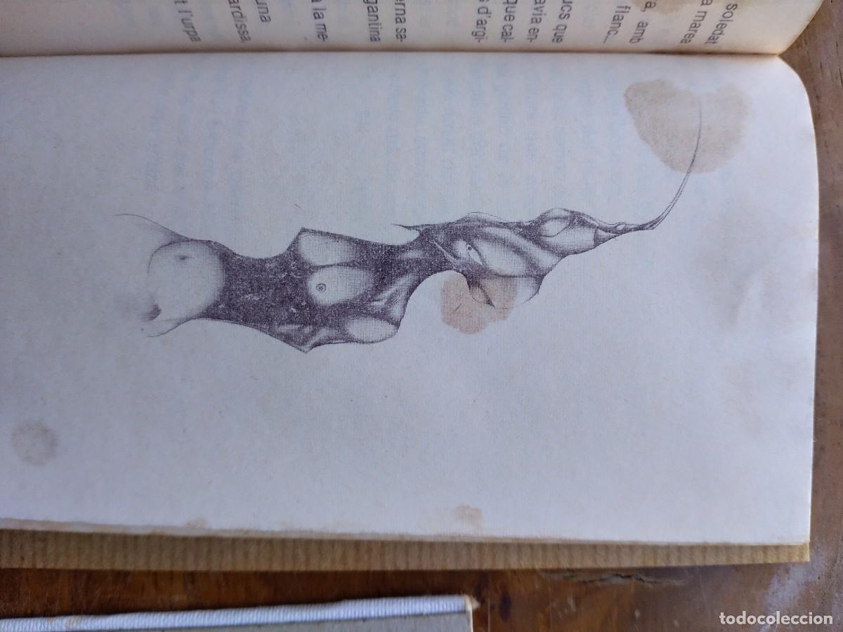 Libros de segunda mano: Colecci&oacute; Jordi Royo &times;4 - Foto 4