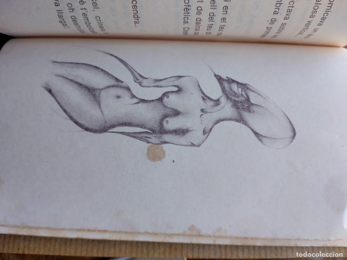Libros de segunda mano: Colecci&oacute; Jordi Royo &times;4 - Foto 5