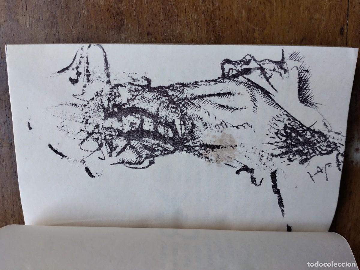 Libros de segunda mano: Colecci&oacute; Jordi Royo &times;4 - Foto 13