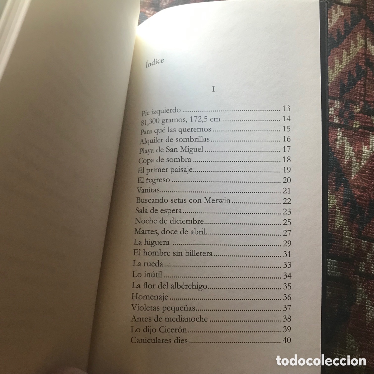 Libros de segunda mano: D&iacute;as de perro. Ram&oacute;n Crespo. El P&aacute;ramo. Dif&iacute;cil y buscado - Foto 4