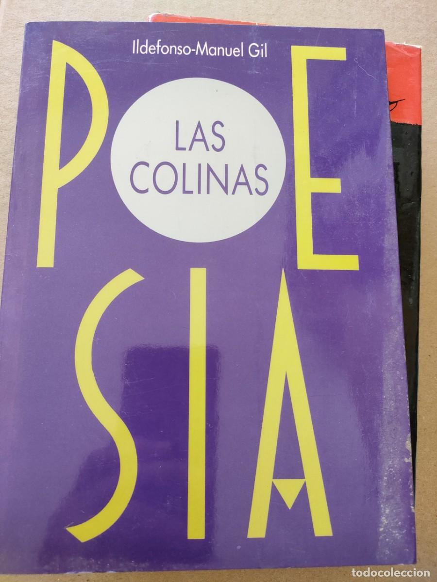 Libros de segunda mano: LAS COLINAS - ILDEFONSO MANUEL GIL - Foto 1