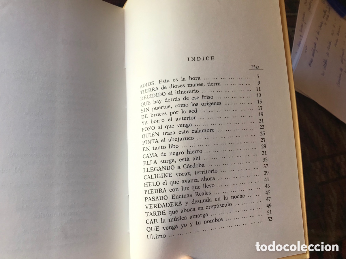 Libros de segunda mano: L&uacute;cido en ciernes. Antonio Almeda - Foto 4