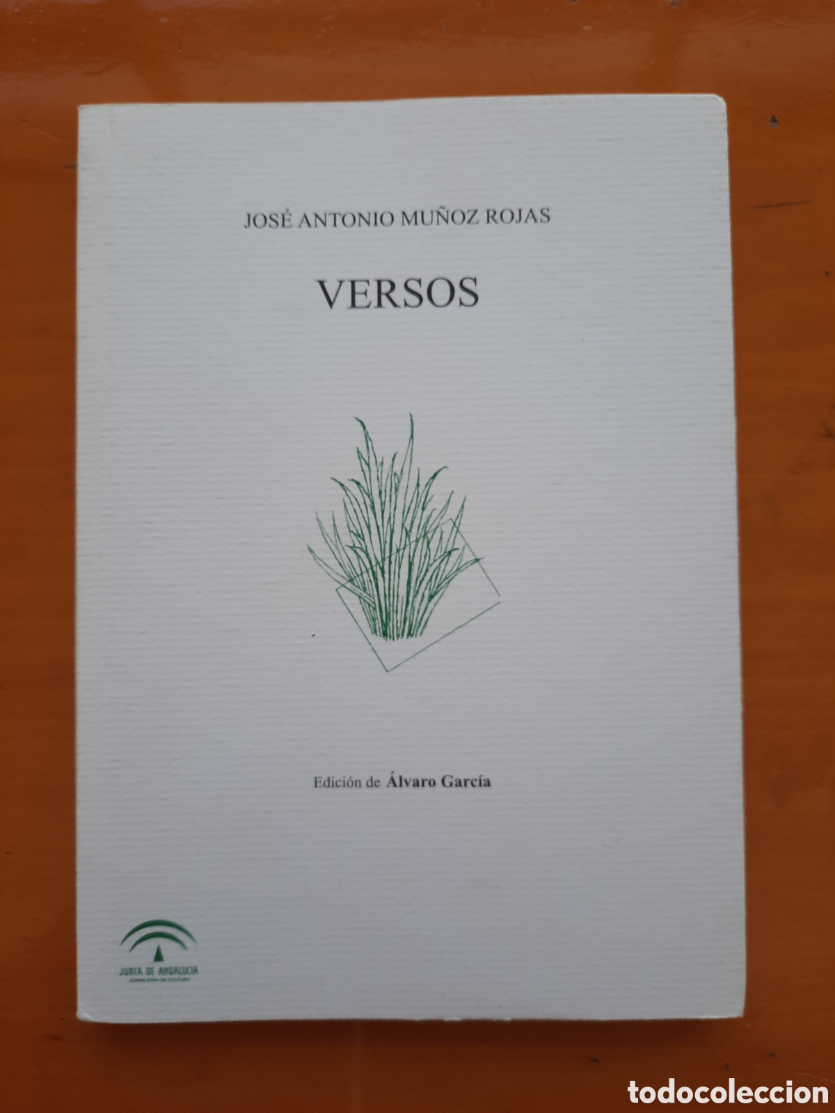 Libros de segunda mano: Jos&eacute; Antonio Mu&ntilde;oz Rojas VERSOS - Foto 1