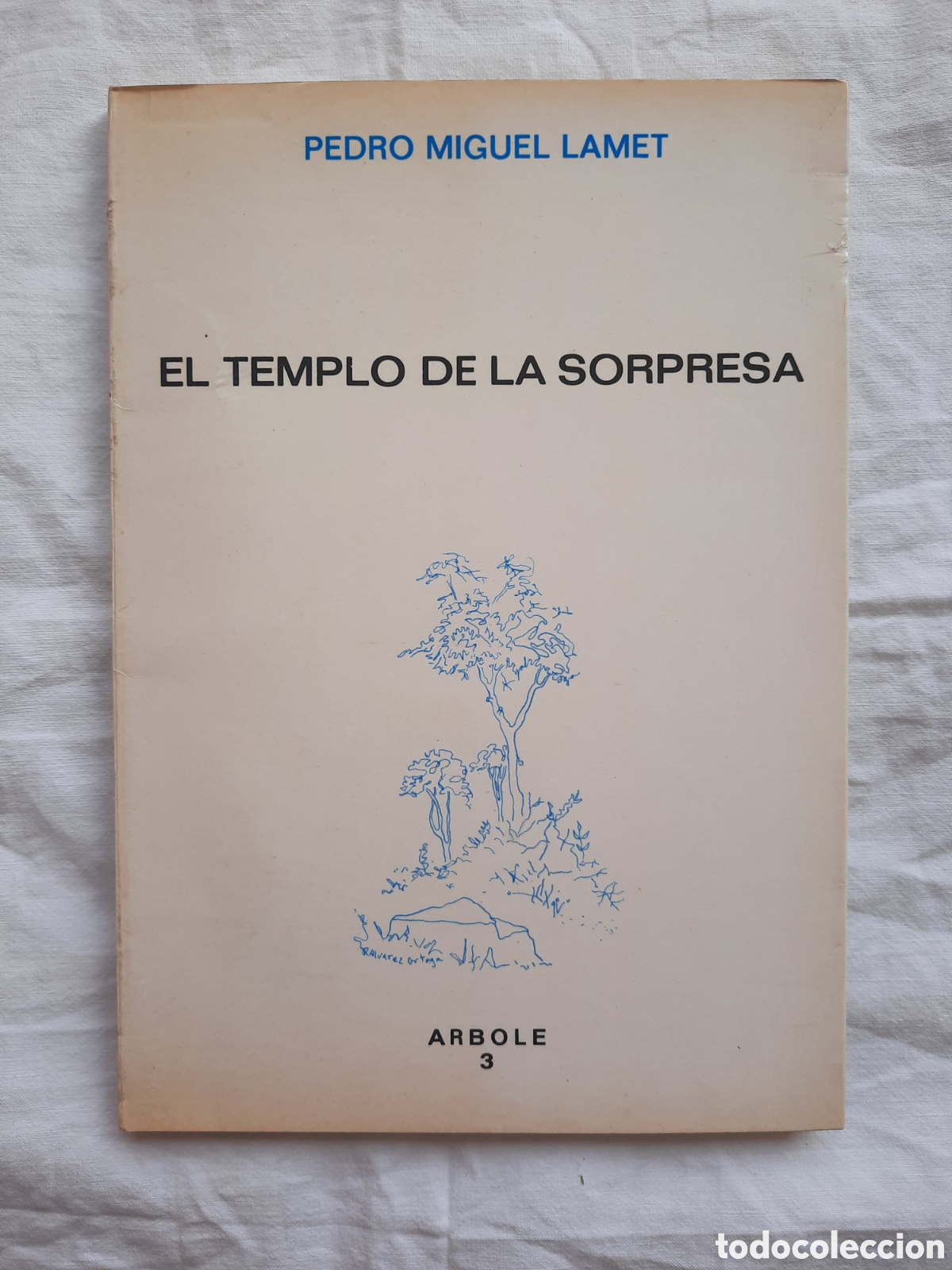 Libros de segunda mano: El templo de la sorpresa - Foto 1