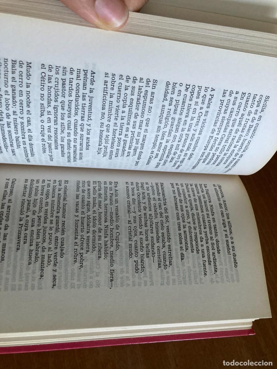 Libros de segunda mano: POESIA / LUIS DE GONGORA / CONSO 285 / TAURUS - Foto 3