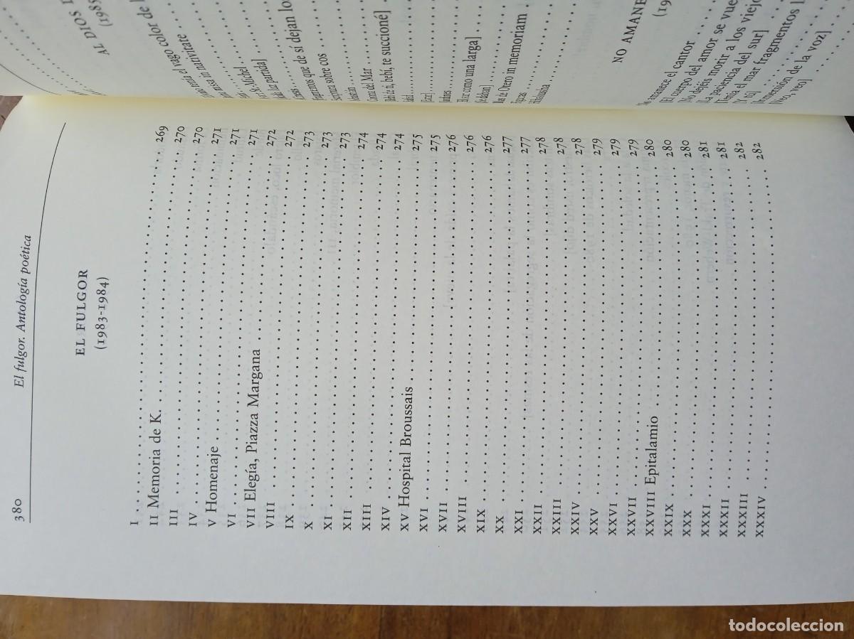 Libros de segunda mano: Jos&eacute; &Aacute;ngel Valente El fulgor - Foto 11