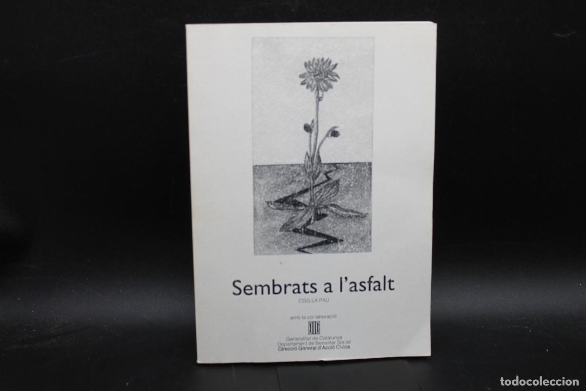Libros de segunda mano: SEMBRATS A LASFALT VARIOS AUTORES - Foto 1