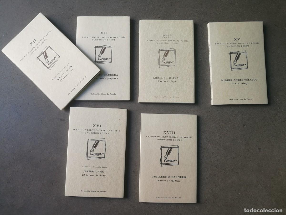 Libros de segunda mano: PREMIO INTERNACIONAL DE POES&Iacute;A FUNDACI&Oacute;N LOEWE. 6 LIBROS