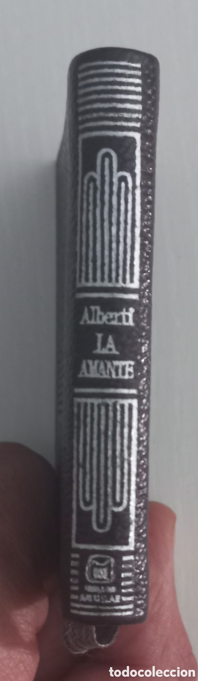 Libros de segunda mano: ALBERTI. LA AMANTE. COLECCI&Oacute;N CRISOL - Foto 1