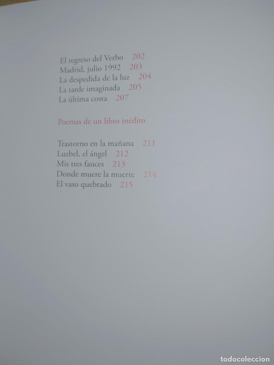 Libros de segunda mano: FRANCISCO BRINES. YO DESCANSO EN LA LUZ .VISOR - Foto 7