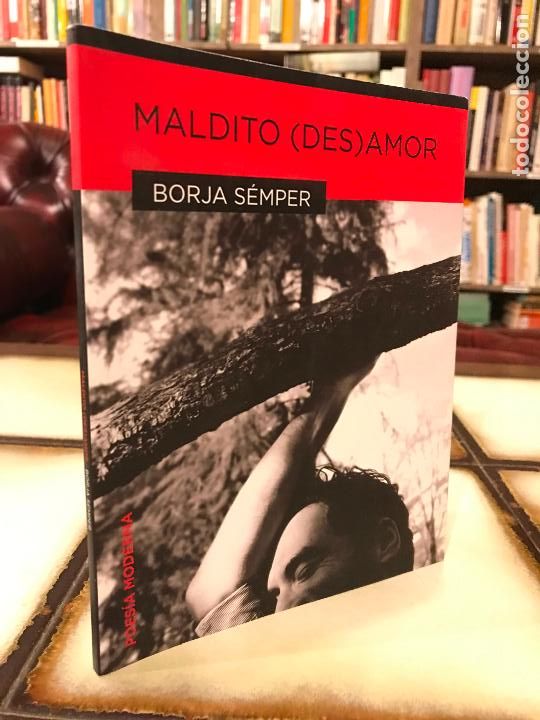 Libros de segunda mano: Maldito (des)amor. Borja S&eacute;mper. - Foto 1