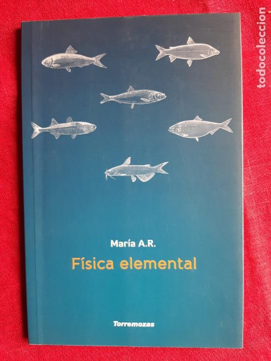 Libros de segunda mano: F&iacute;sica elemental - Mar&iacute;a A. R. - Foto 1