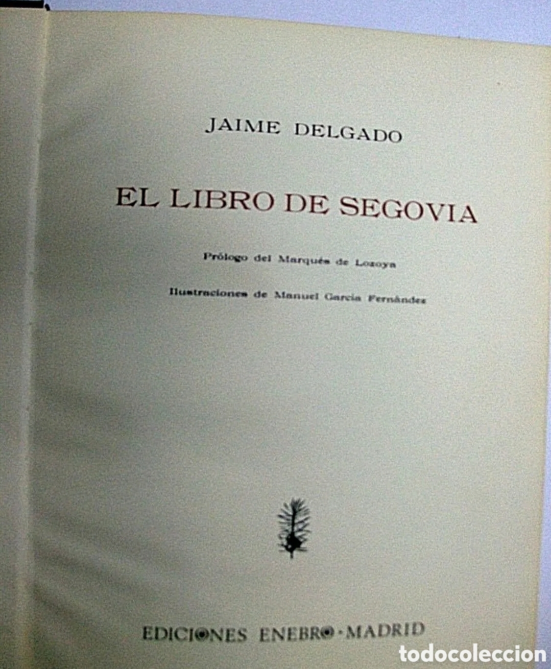 Libros de segunda mano: EL LIBRO DE SEGOVIA. Jaime Delgado. - Foto 2