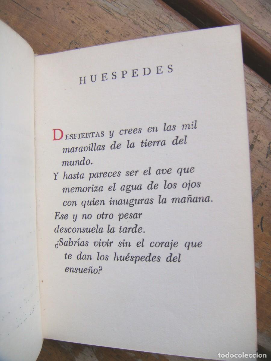 Libros de segunda mano: Roberto Sanchez: CANTARES. Mart&iacute;nez Howard - Foto 5