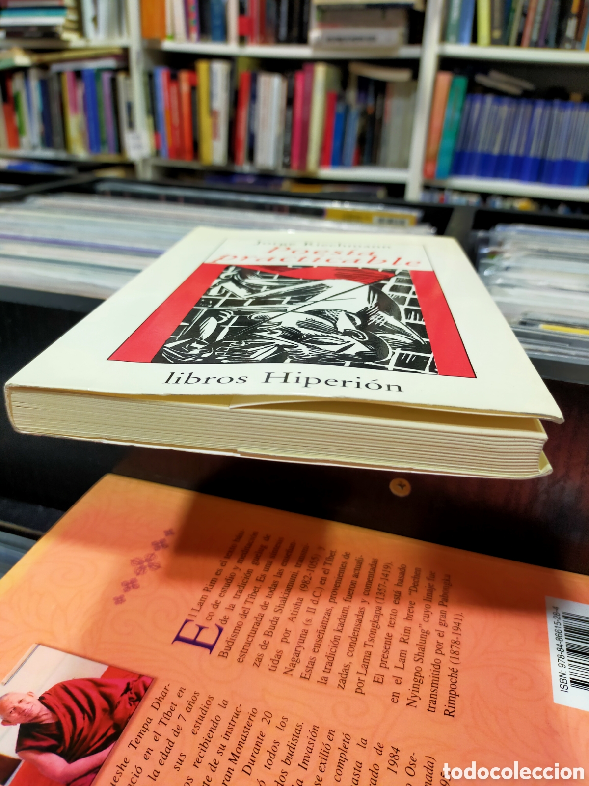 Libros de segunda mano: POES&Iacute;A PRACTICABLE - JORGE RIECHMANN - Foto 5