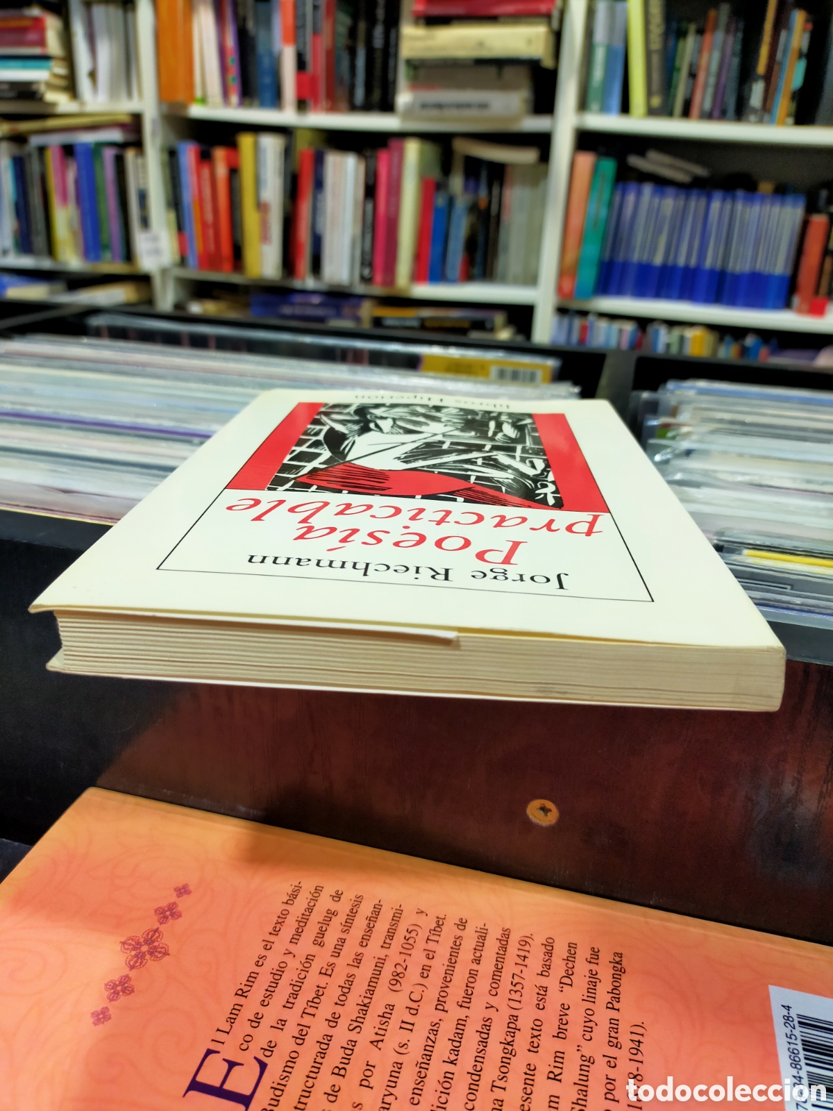 Libros de segunda mano: POES&Iacute;A PRACTICABLE - JORGE RIECHMANN - Foto 6