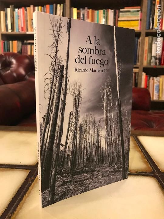 Libros de segunda mano: A la sombra del fuego. Ricardo Marrero Gil.