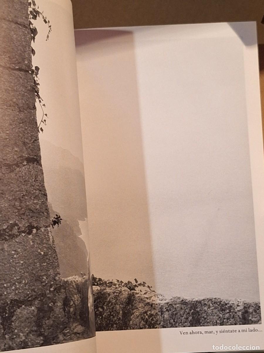 Libros de segunda mano: Todo el mar . Rafael Albert&iacute; - Foto 11