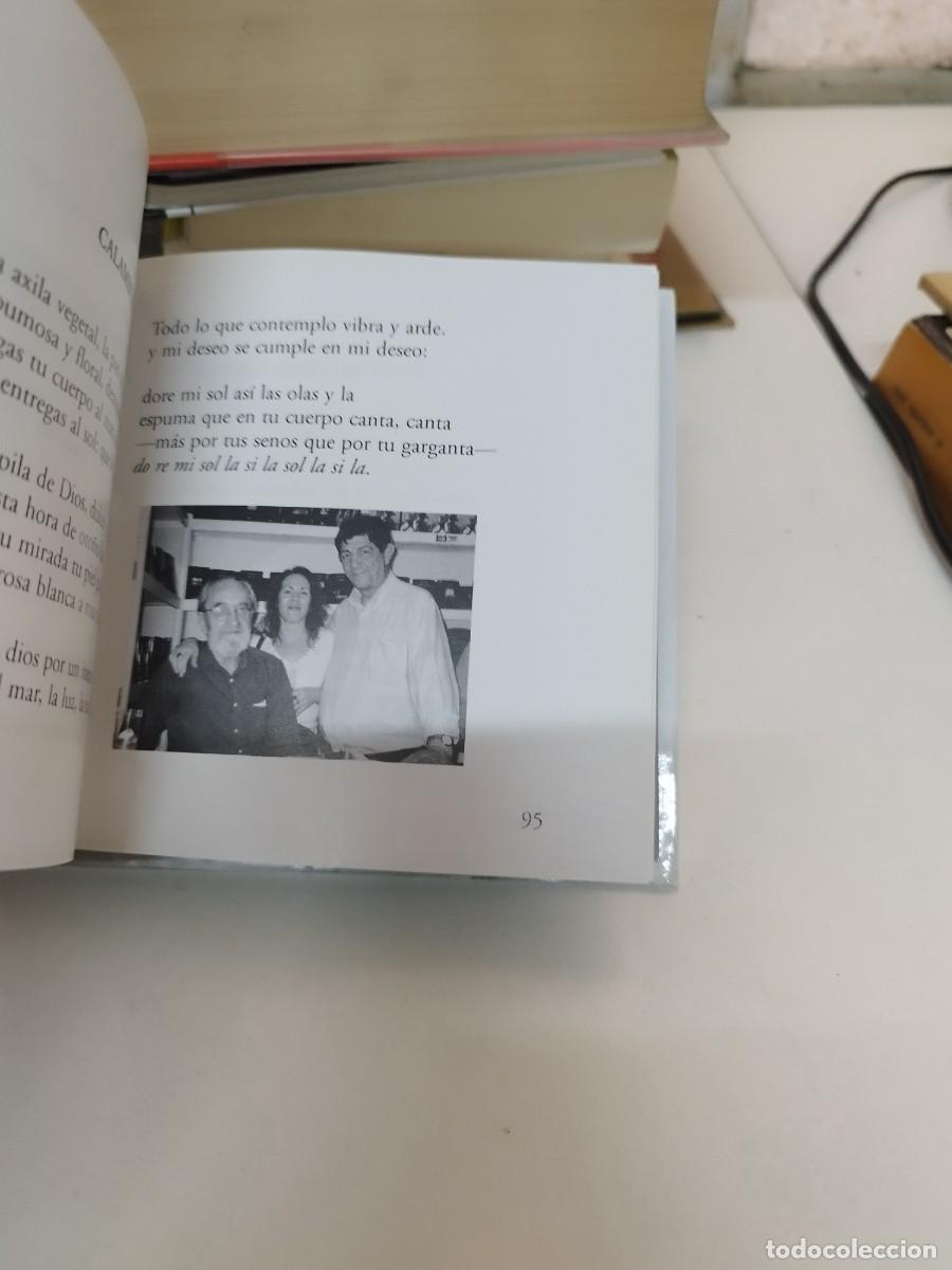 Libros de segunda mano: Visor libros. De viva voz. &Aacute;ngle Gonz&aacute;lez. A todo amor. - Foto 4