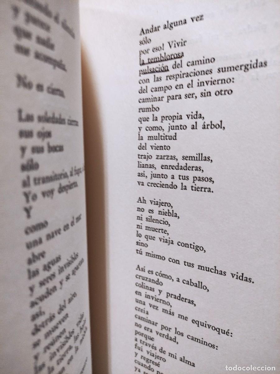 Libros de segunda mano: TERCER LIBRO DE LAS ODAS - PABLO NERUDA - 1957 - Foto 5
