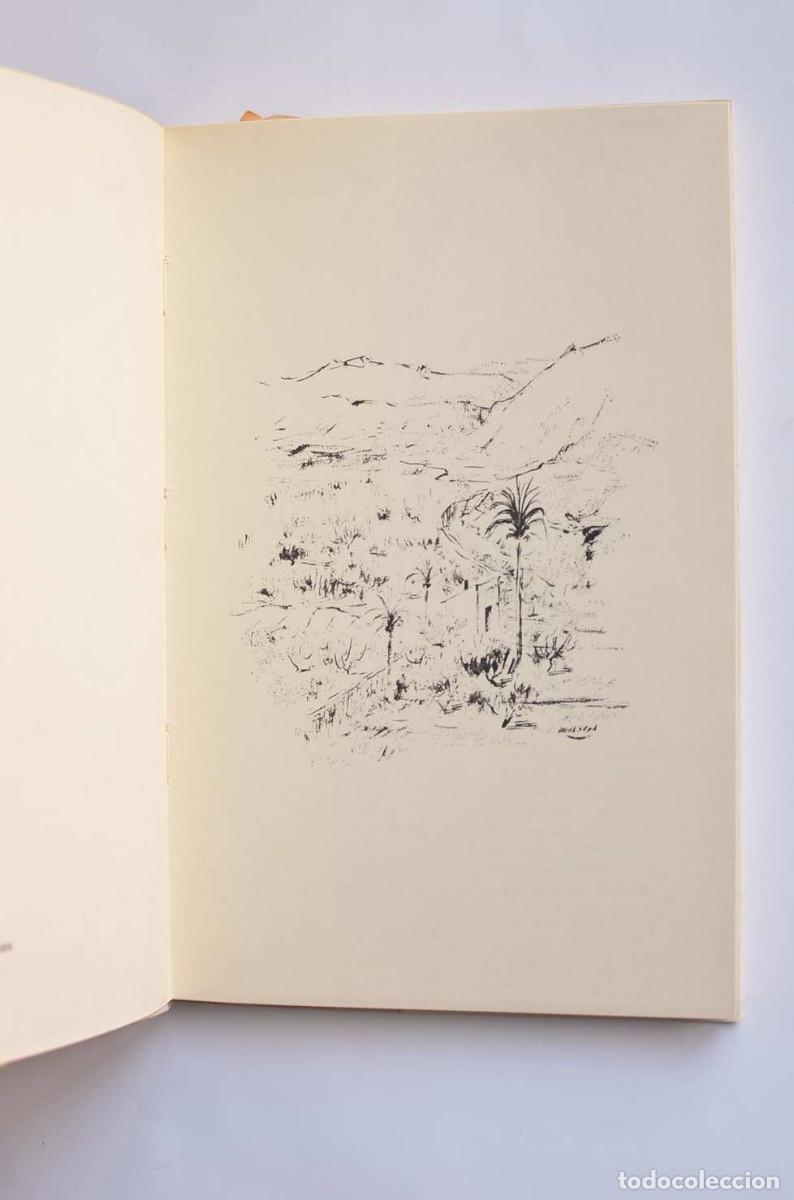 Libros de segunda mano: Al alba - SEQUEROS, Ofelia - Foto 3