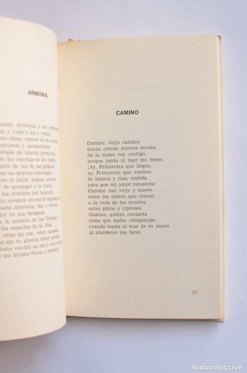 Libros de segunda mano: Al alba - SEQUEROS, Ofelia - Foto 4