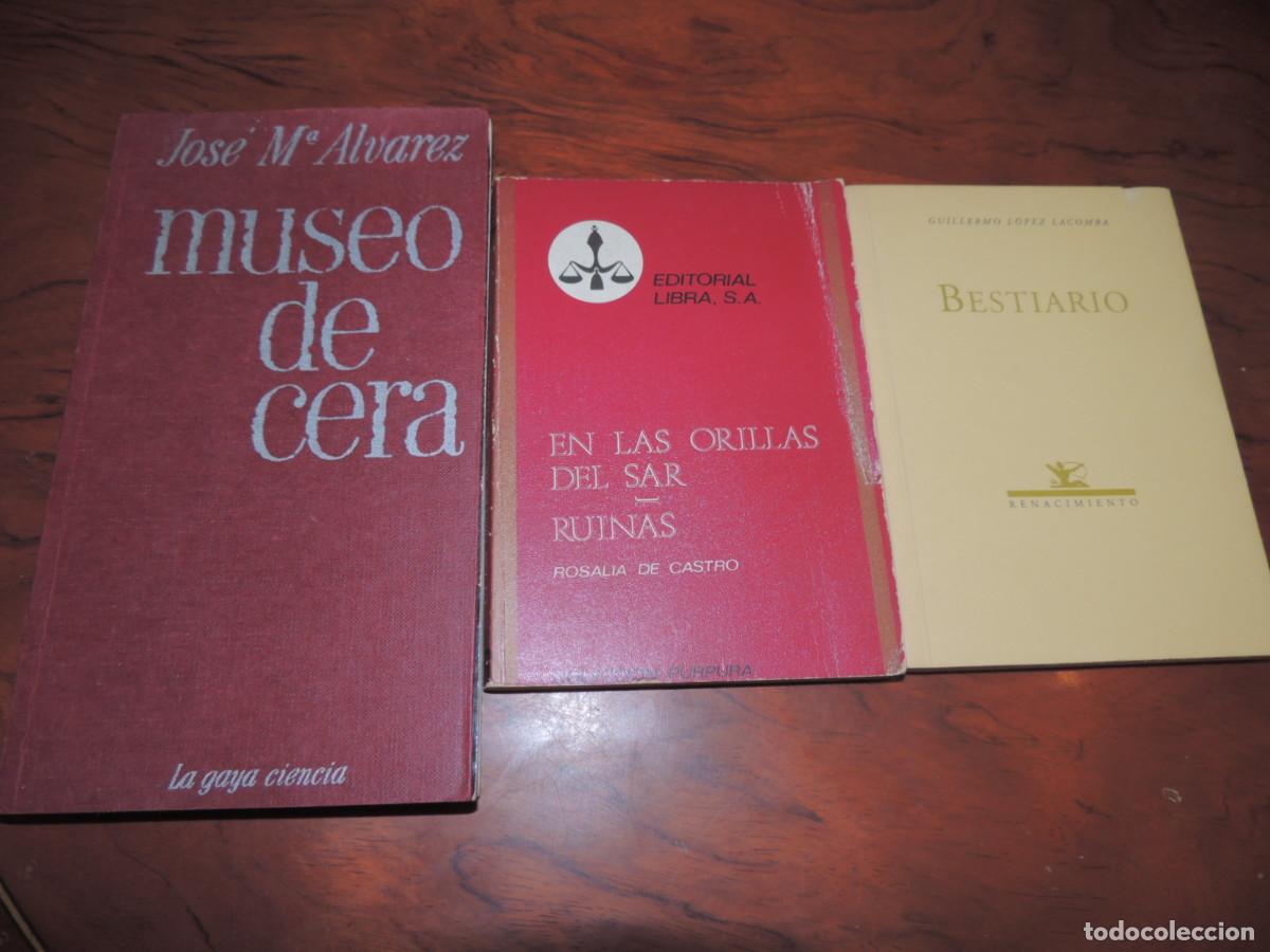 Libros de segunda mano: MUSEO DE CERA,EN LAS ORILAS DEL SAR Y RUINAS, BESTIARIO, TRES TOMOS POESIA