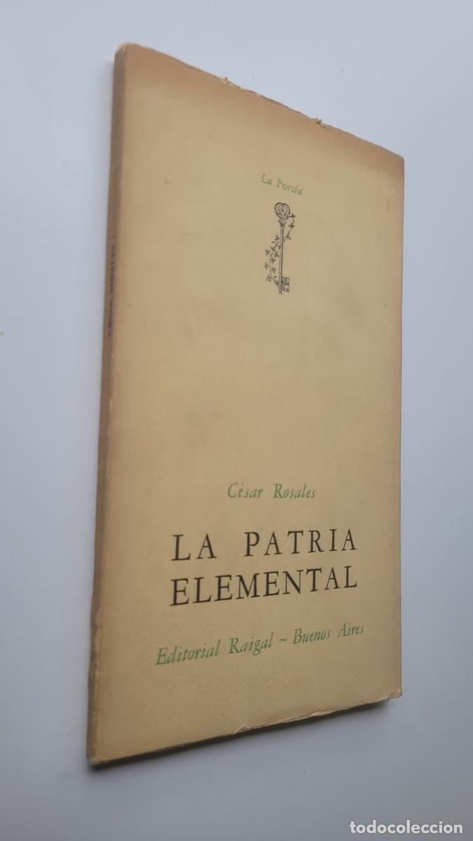 Libros de segunda mano: LA PATRIA ELEMENTAL - C&Eacute;SAR ROSALES - Foto 1