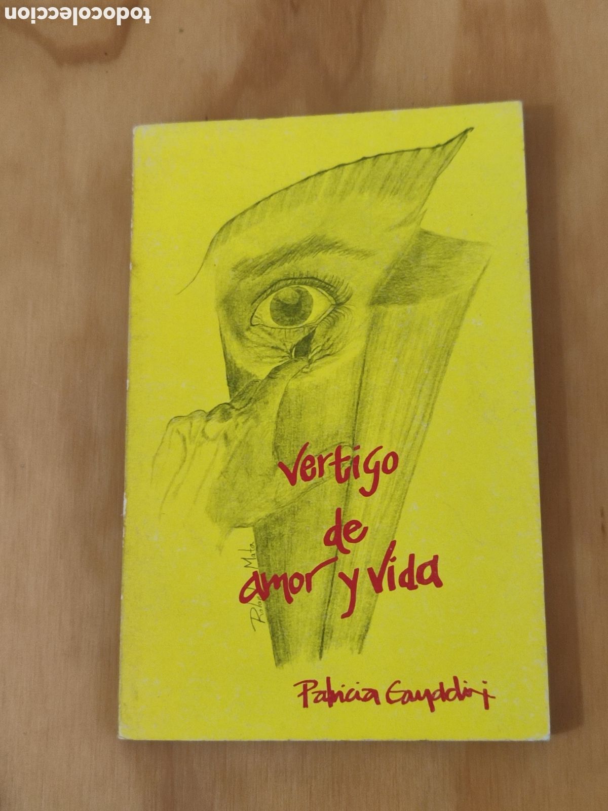 Gebrauchte B&uuml;cher: Patricia Ganddini V&eacute;rtigo de amor y vida