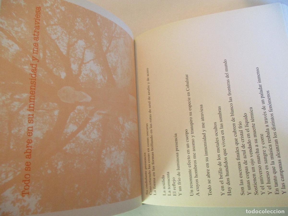 Libros de segunda mano: CARLOS OROZA &Eacute;vame W2697 - Foto 4