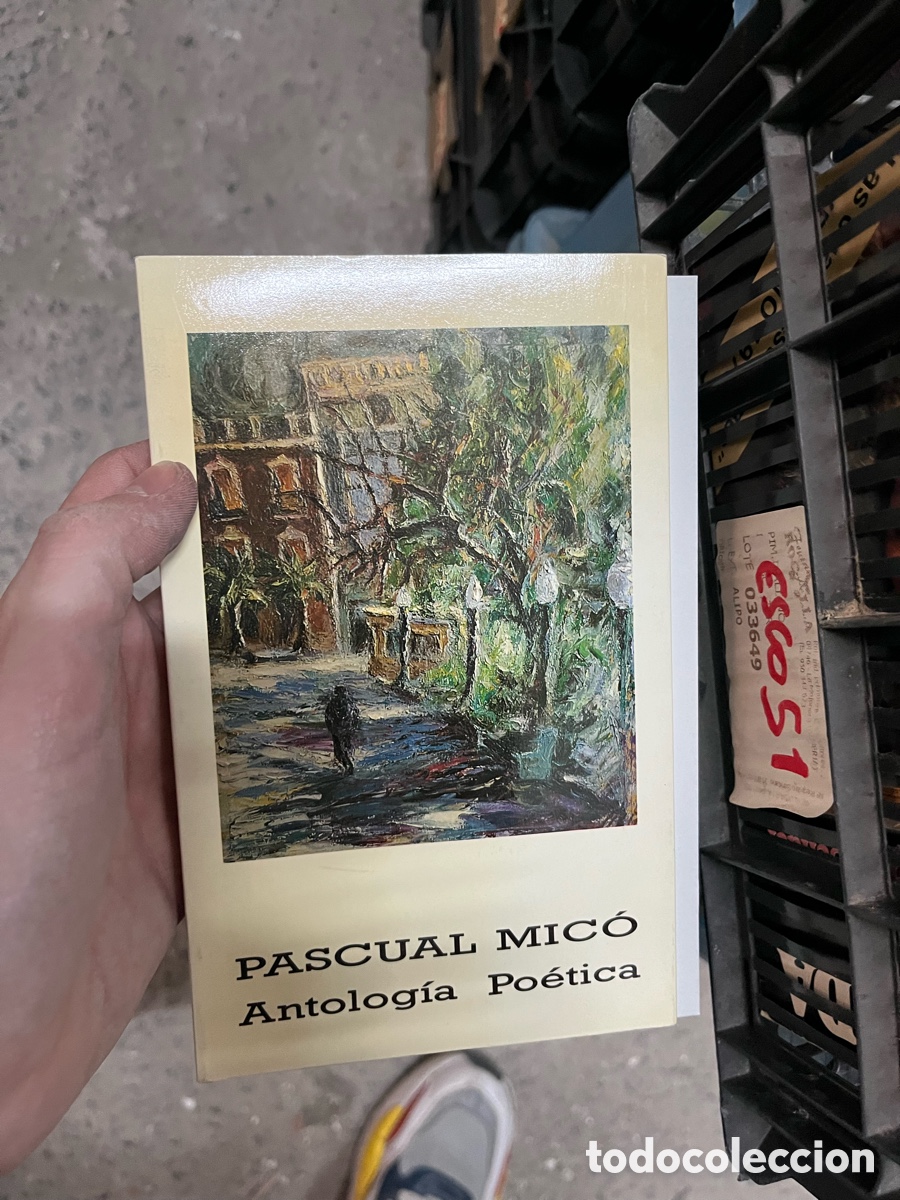 Libros de segunda mano: Esco51 PASCUAL MIC&Oacute; Antolog&iacute;a Po&eacute;tica