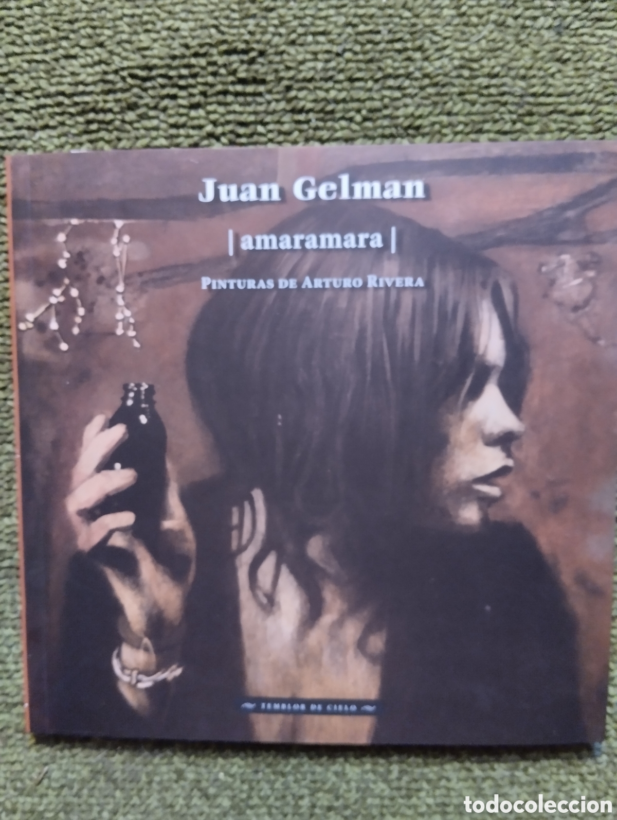 Libri di seconda mano: Amaramara, Juan Gelman, pinturas de Arturo Rivera