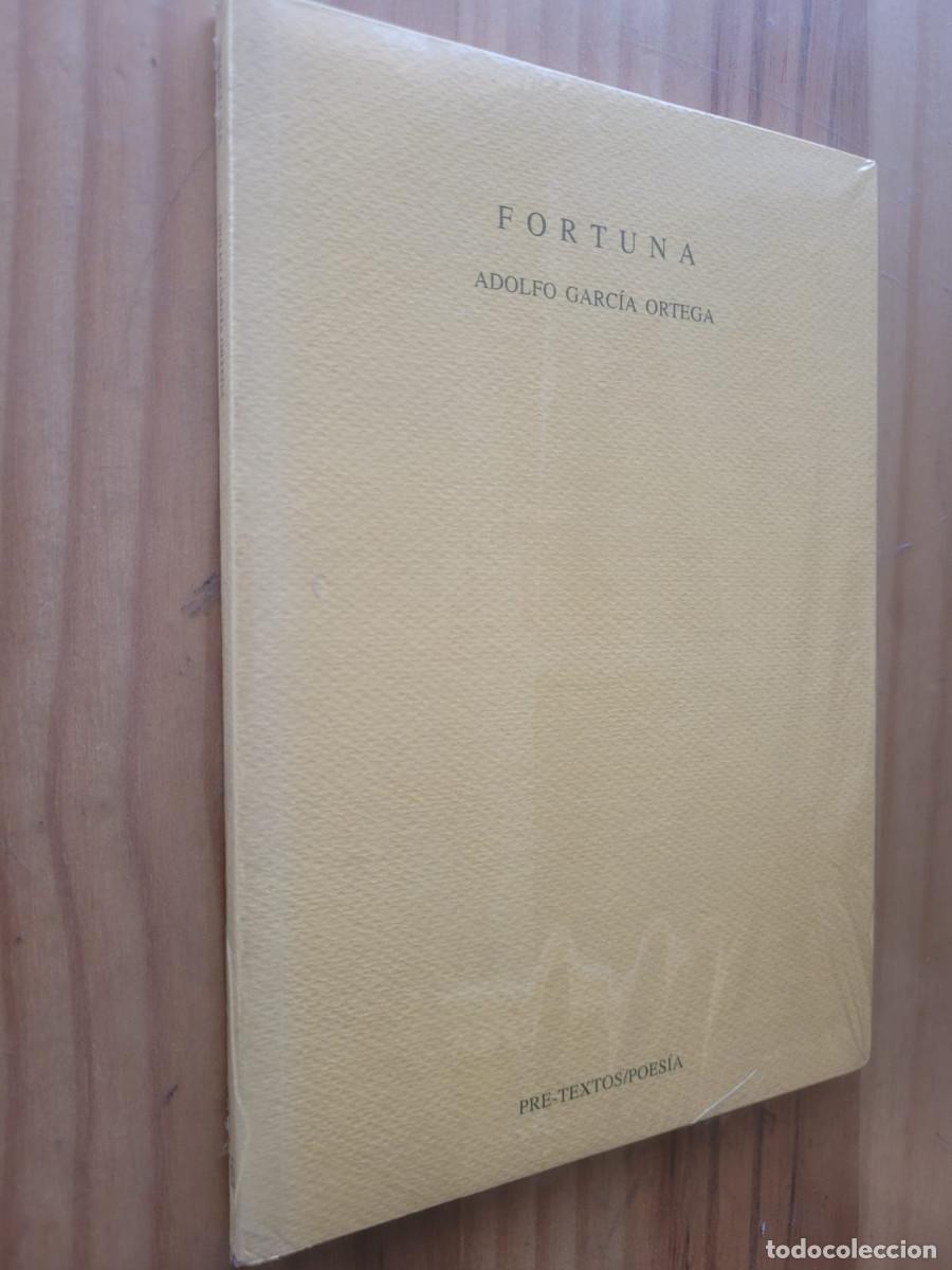Libros de segunda mano: FORTUNA - ADOLFO GARCIA ORTEGA - Foto 1