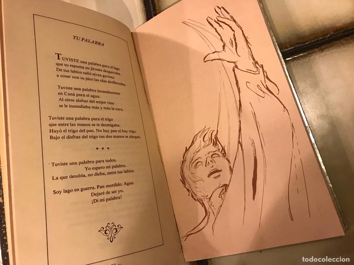 Libros de segunda mano: T&uacute;. Versos de ayer y de hoy. Ram&oacute;n Cu&eacute;. - Foto 6