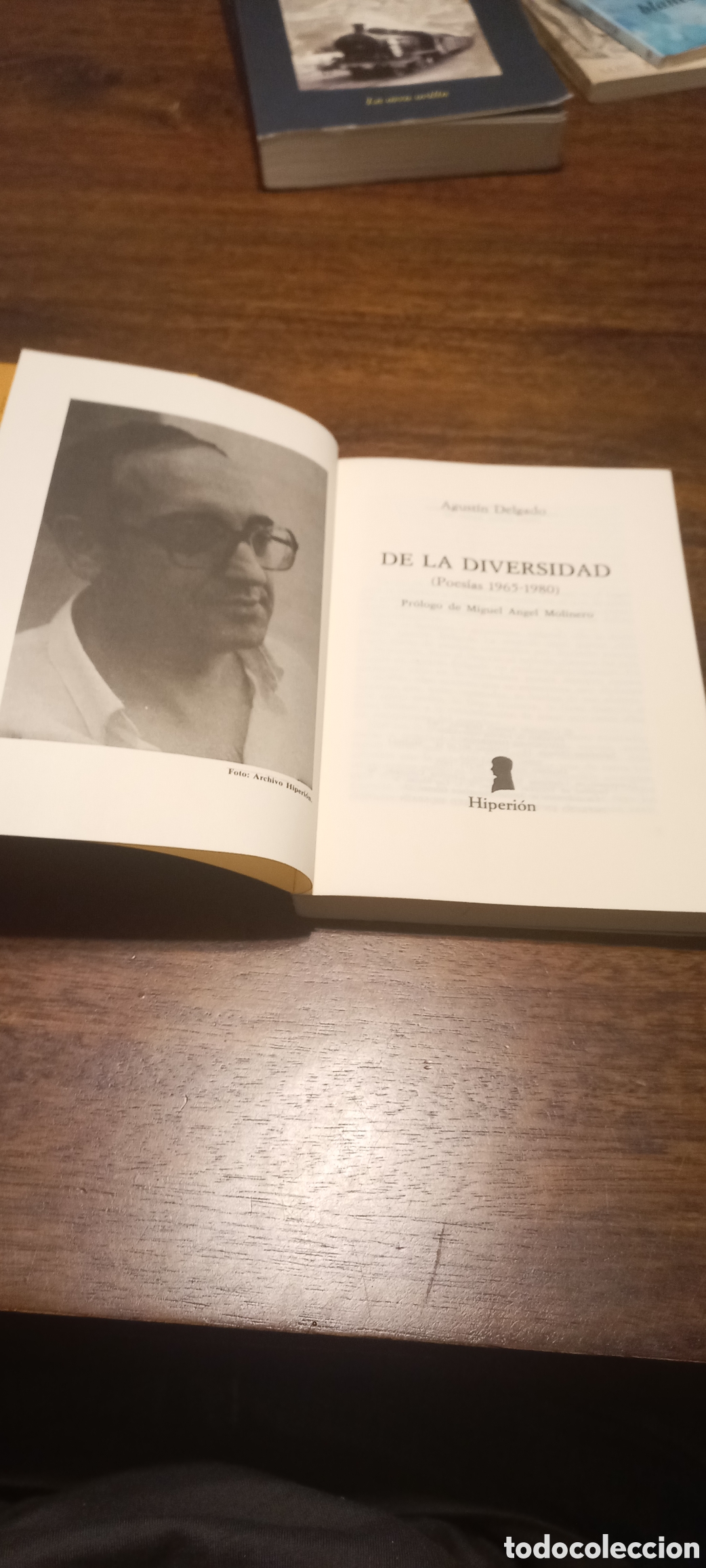 Libros de segunda mano: De la diversidad, Agust&iacute;n Delgado - Foto 2
