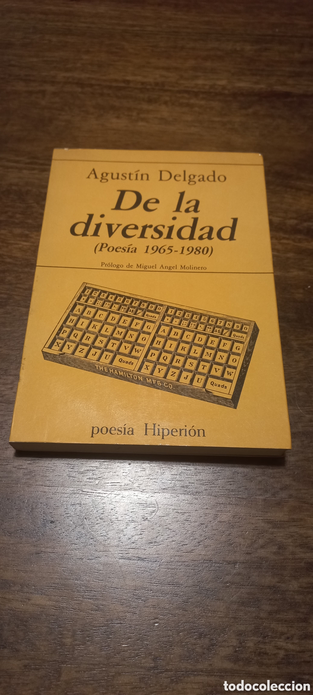 Libros de segunda mano: De la diversidad, Agust&iacute;n Delgado - Foto 1