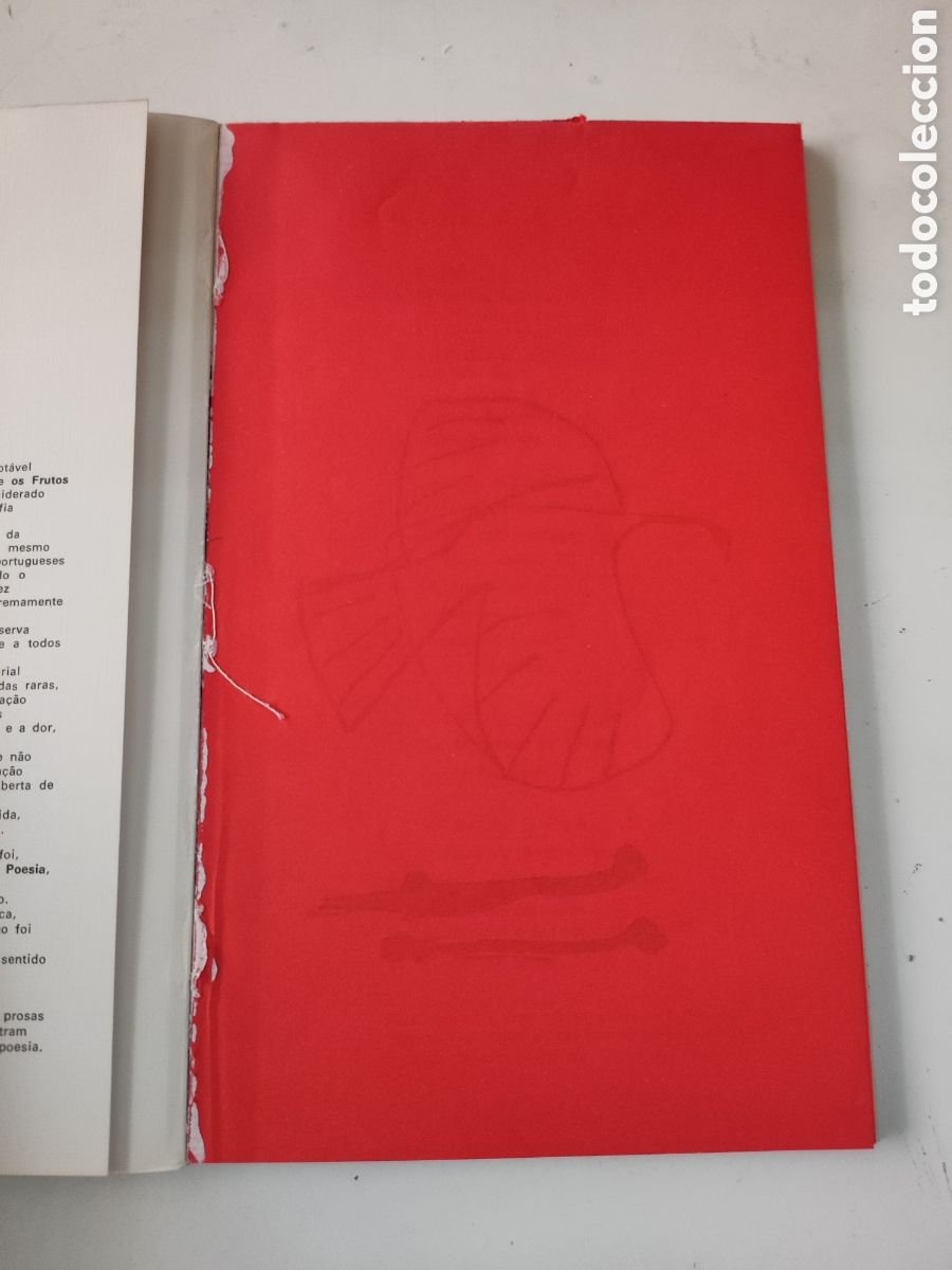 Libros de segunda mano: ESCRITA DA TERRA .- Eugenio de Andrade. - Foto 3