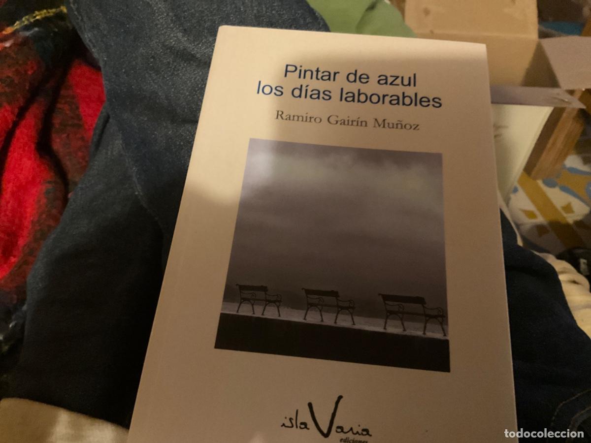 Second hand books: PINTAR DE AZUL LOS DIAS LABORABLES RAMIRO GAIRIN