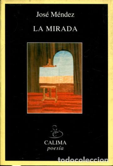 Libros de segunda mano: LA MIRADA. - MENDEZ Jose. - Foto 1