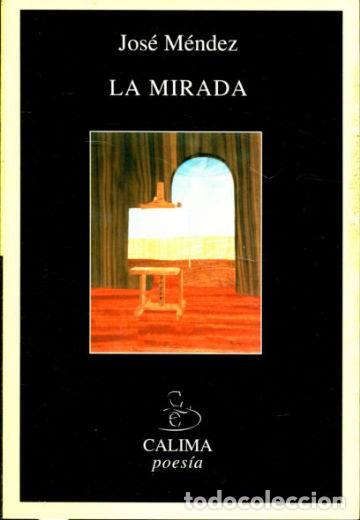 Libros de segunda mano: LA MIRADA. - MENDEZ Jose. - Foto 1