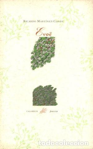 Libros de segunda mano: EVOE. - MARTINEZ-CONDE Ricardo. - Foto 1
