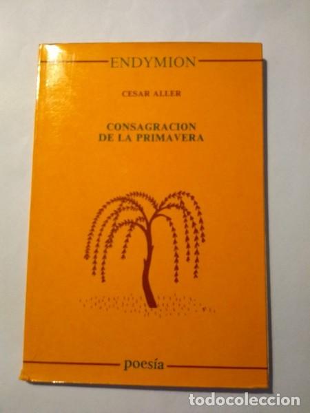 Libros de segunda mano: Consagracion de la primavera - Cesar Aller - Foto 1