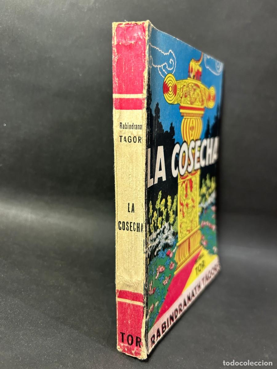 Libros de segunda mano: OBRAS DE RABIDRANATH TAGORE - LA COSECHA - 1946 - Foto 2
