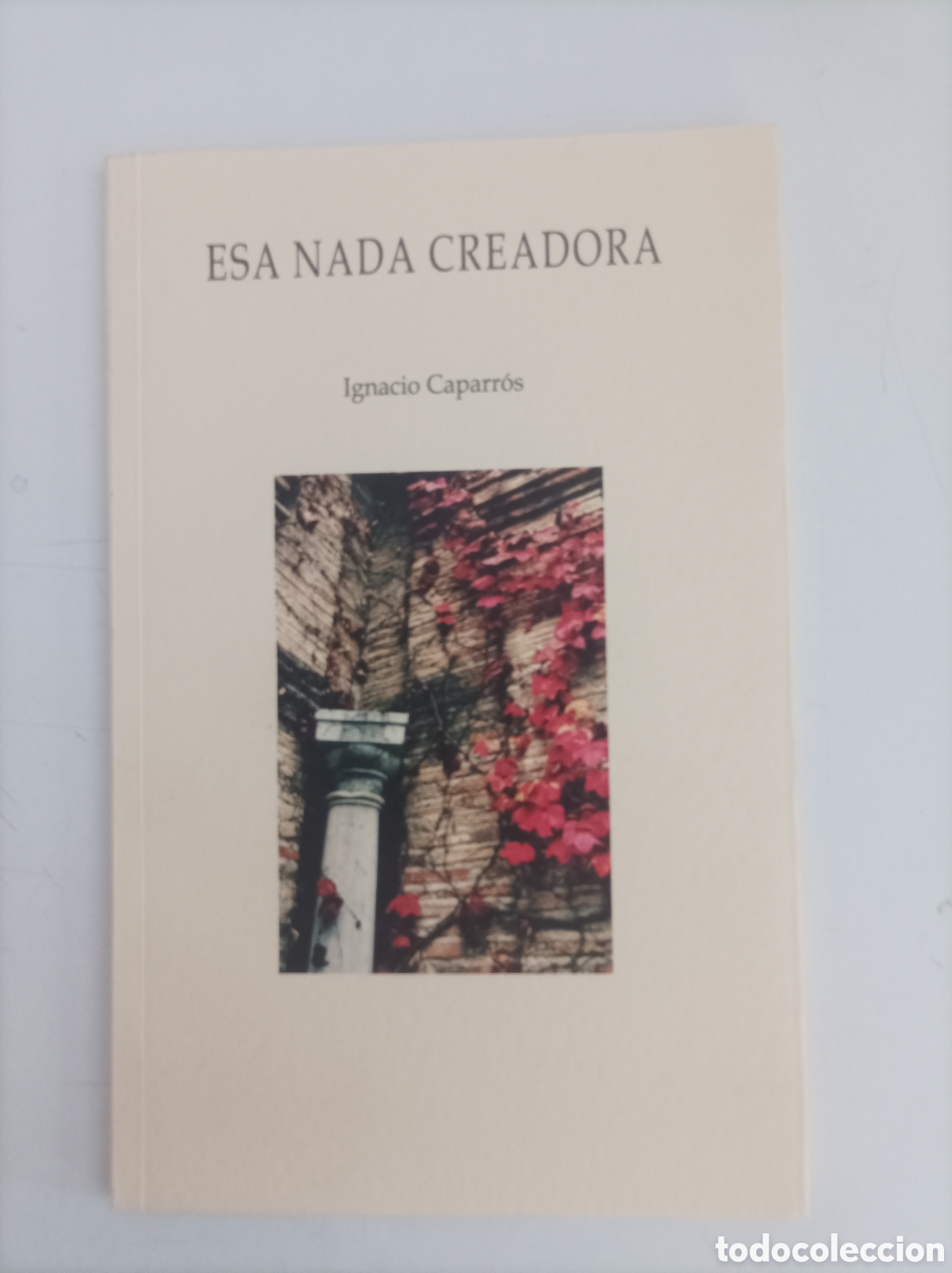 Libros de segunda mano: Esa nada creadora / Ignacio Caparr&oacute;s - Foto 1
