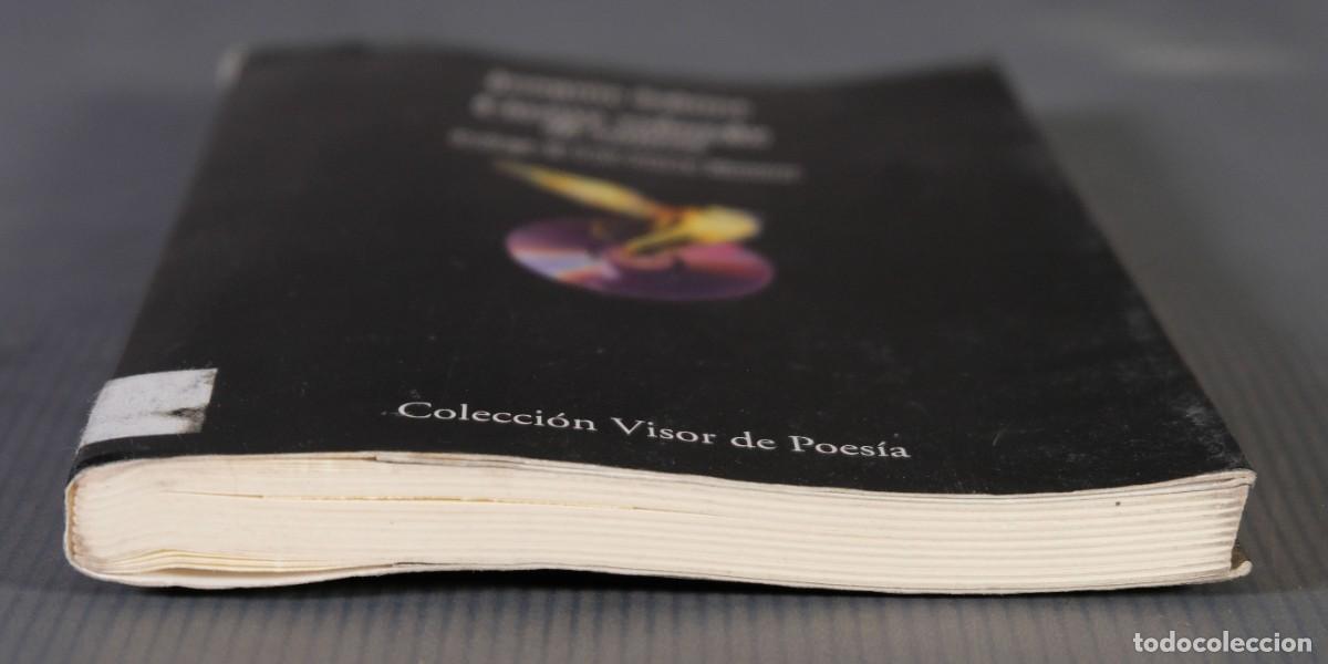 Libros de segunda mano: Ciento volando de catorce - Joaqu&iacute;n Sabina - Ed.Visor libros, 2002 - Foto 4