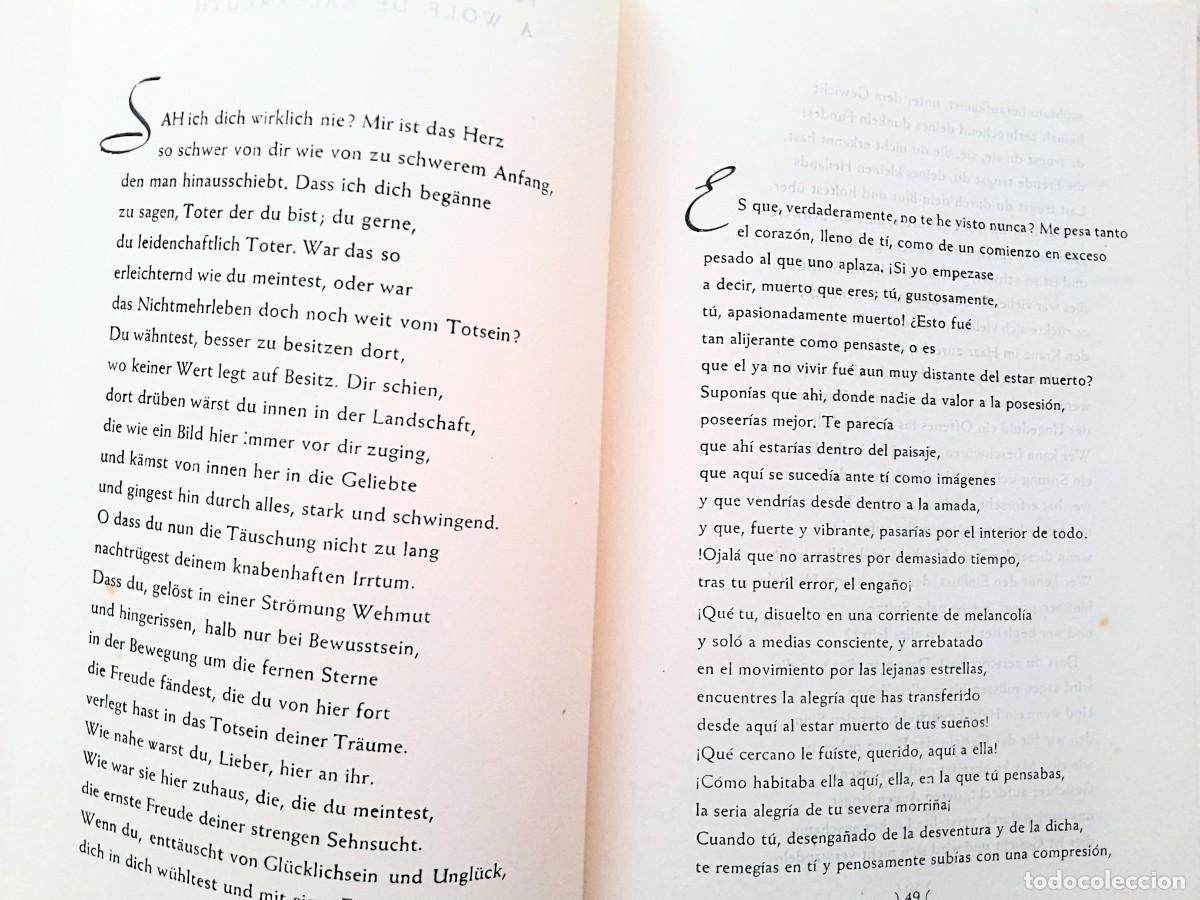 Libros de segunda mano: R&eacute;quiem elegias de Duino R. M. Rilke edici&oacute;n biling&uuml;e 1946 - Foto 3