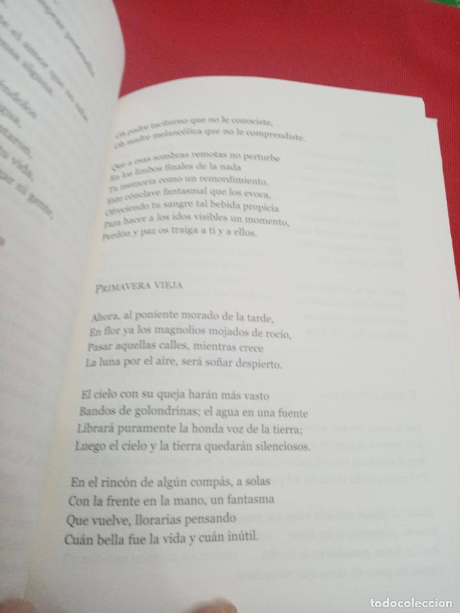 Libros de segunda mano: LUIS CERNUDA, POES&Iacute;A, JUNTA DE ANDALUCIA - Foto 3