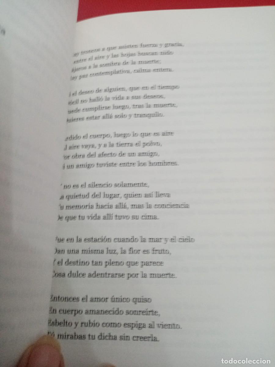 Libros de segunda mano: LUIS CERNUDA, POES&Iacute;A, JUNTA DE ANDALUCIA - Foto 2